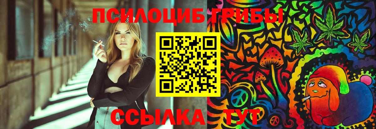 Псилоцибиновые грибы Magic Shrooms  купить наркотик  Семилуки  Вход с VPN  Псилоцибиновые грибы GOLDEN TEACHER 